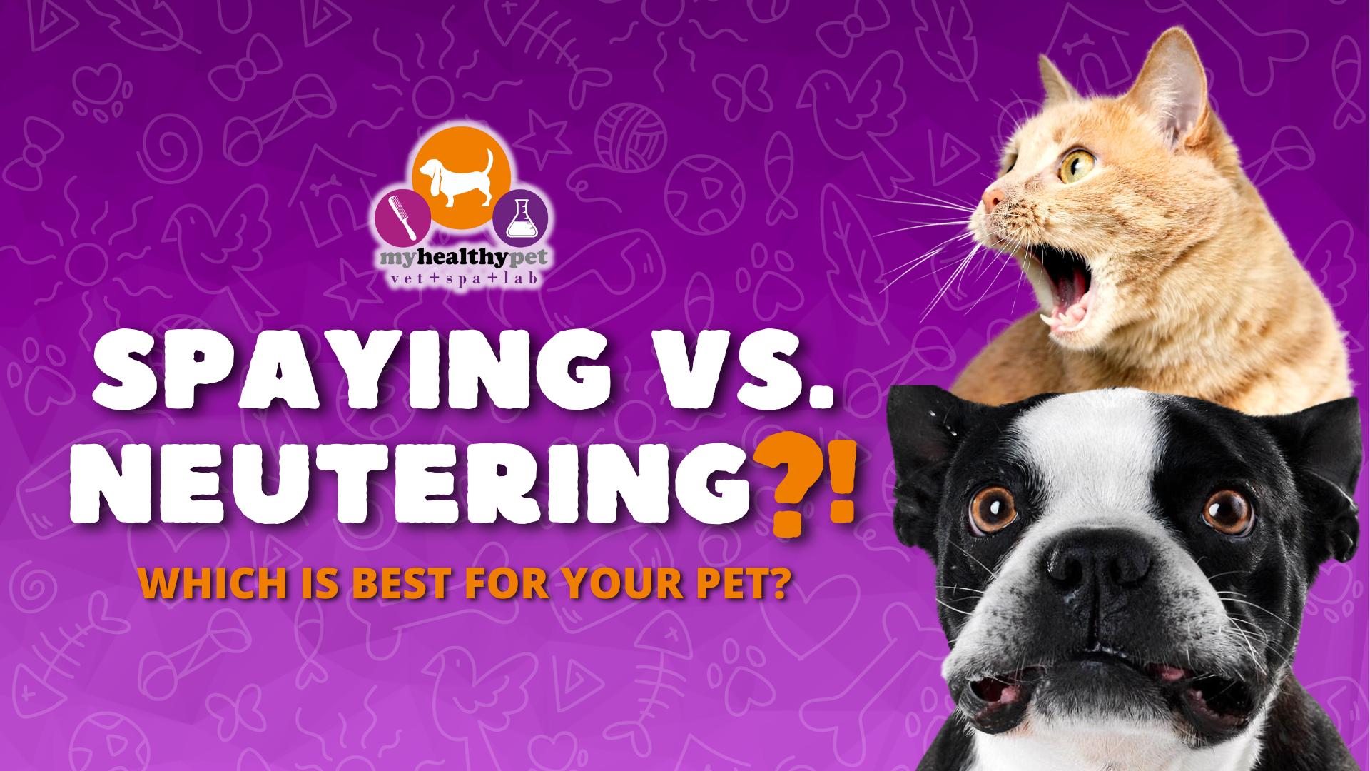 My Healthy Pet – At My Healthy Pet, we understand that your pets are a ...